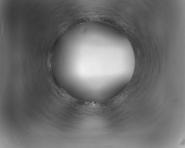 X0000071350768200607071724