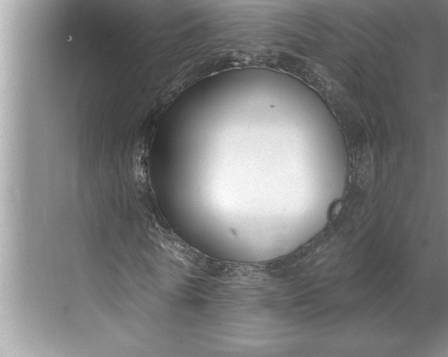 X0000071350770200607071723