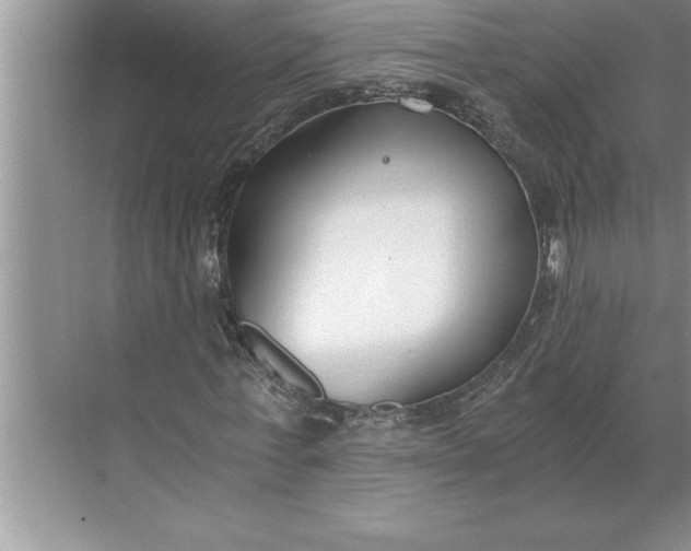 X0000071350771200607071723