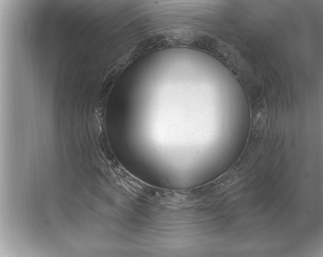 X0000071350772200607071723