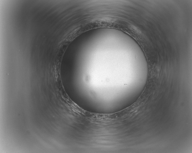 X0000071350774200607071723