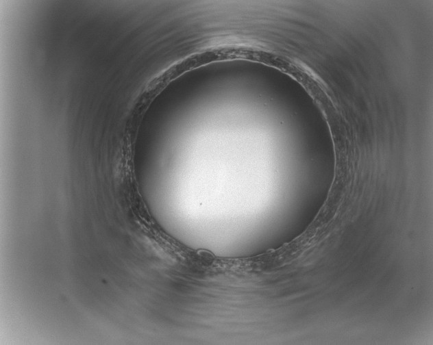 X0000071350775200607071723