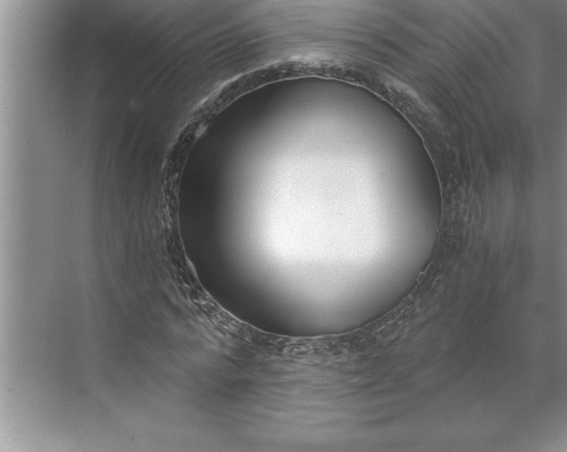 X0000071350776200607071723