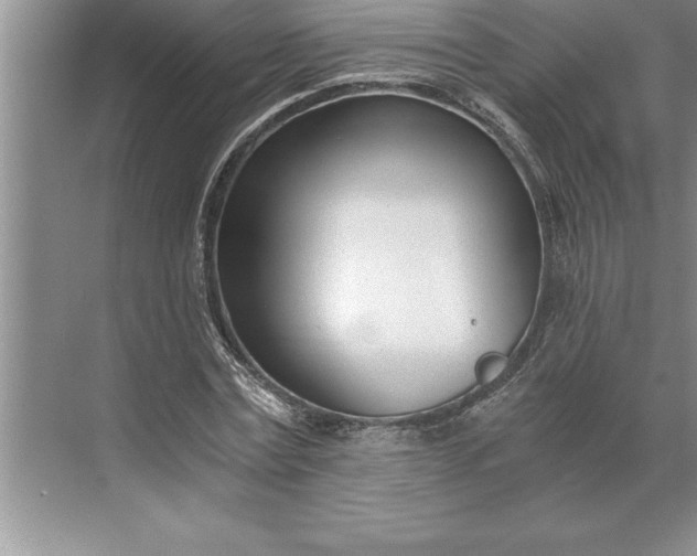 X0000071350779200607071723