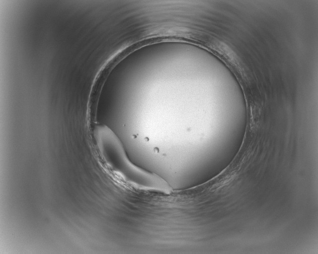 X0000071350780200607071723