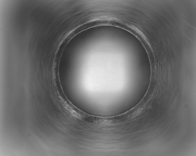 X0000071350783200607071723