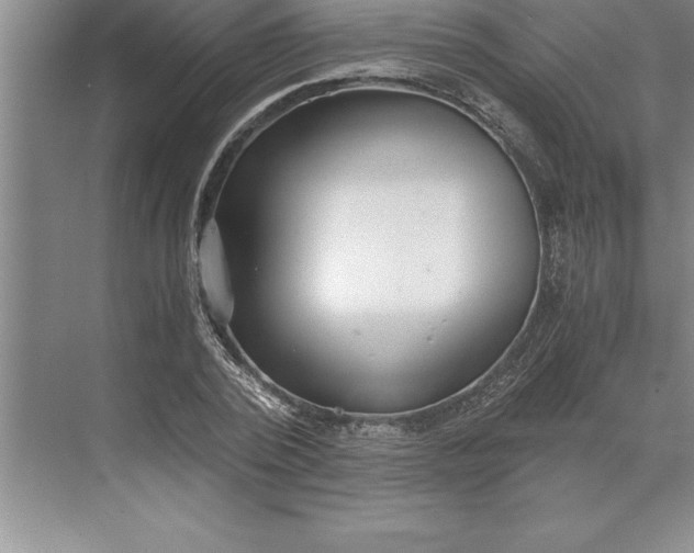 X0000071350784200607071723