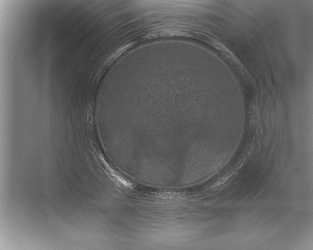 X0000071350785200607071723