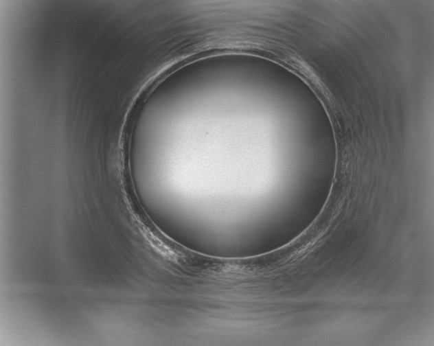 X0000071350787200607071723