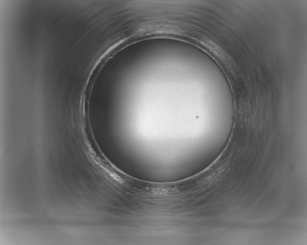 X0000071350790200607071723