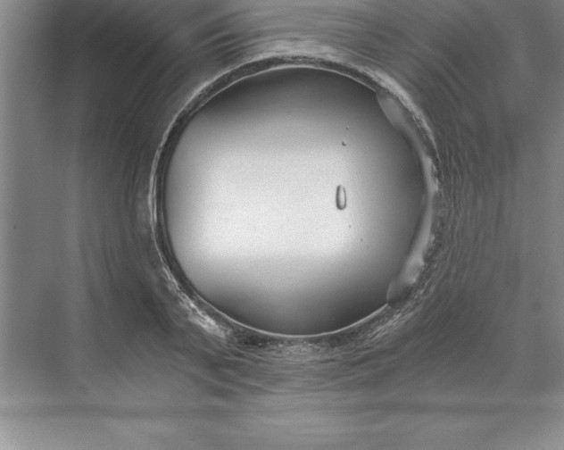 X0000071350791200607071723