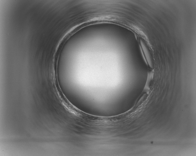 X0000071350792200607071723