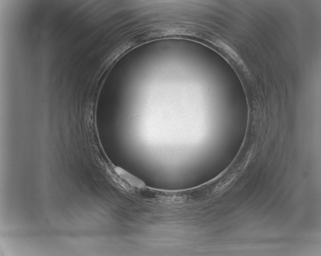 X0000071350793200607071723