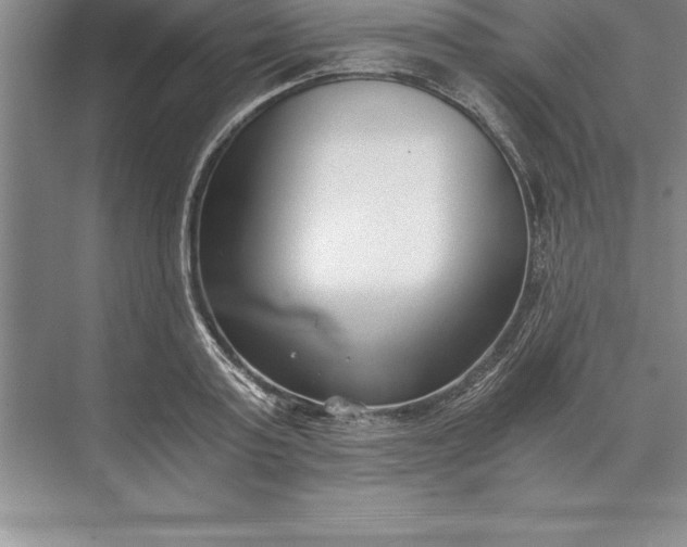 X0000071350795200607071723