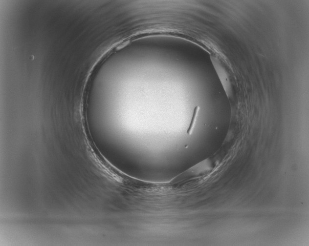 X0000071350797200607071723