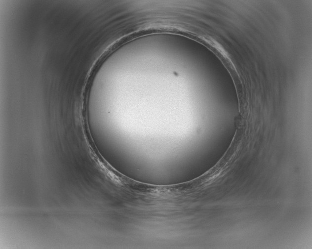 X0000071350799200607071723