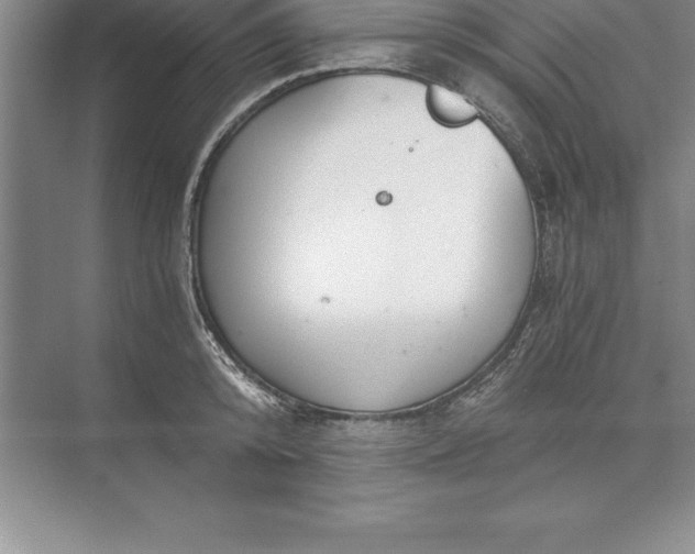 X0000071350800200607071723