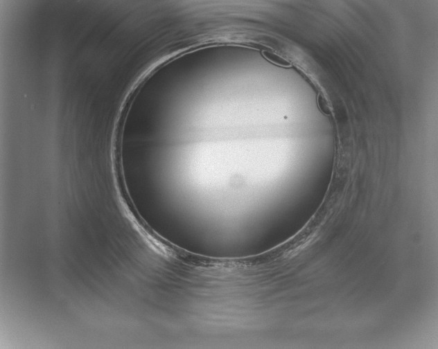 X0000071350803200607071722