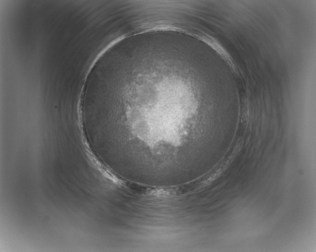 X0000071350806200607071722