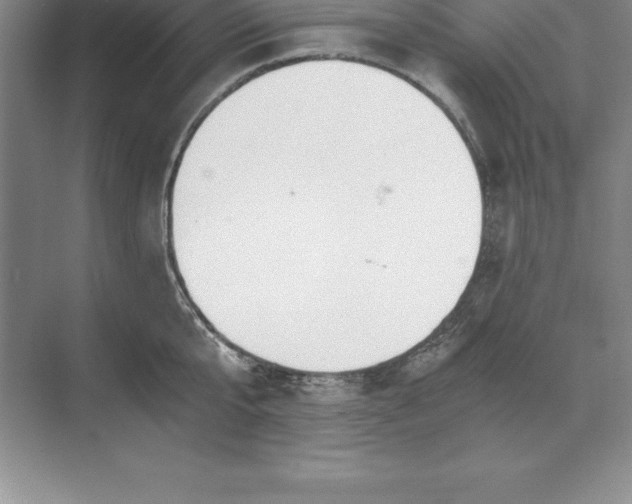 X0000071350807200607071722