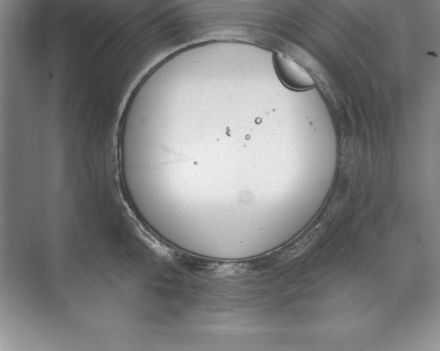 X0000071350808200607071722