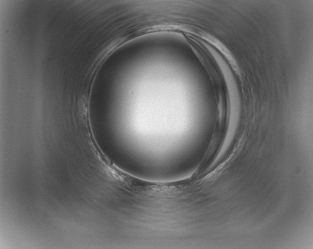 X0000071350809200607071722