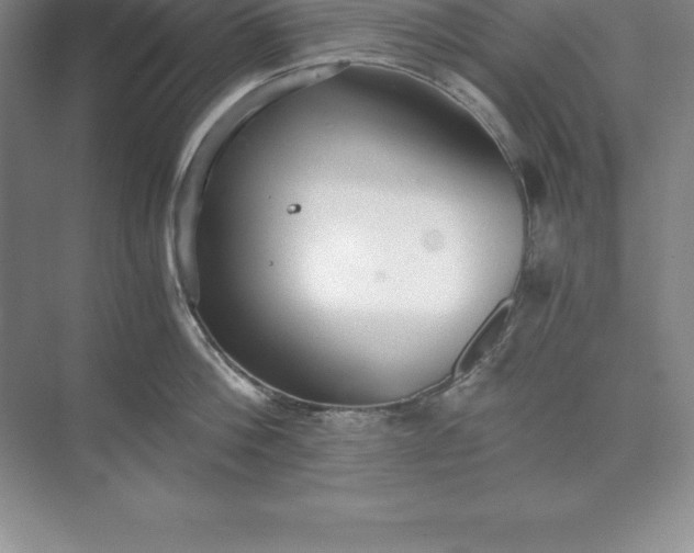 X0000071350812200607071722