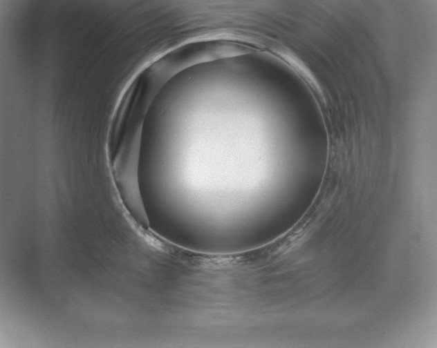 X0000071350813200607071722