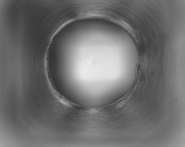 X0000071350814200607071722