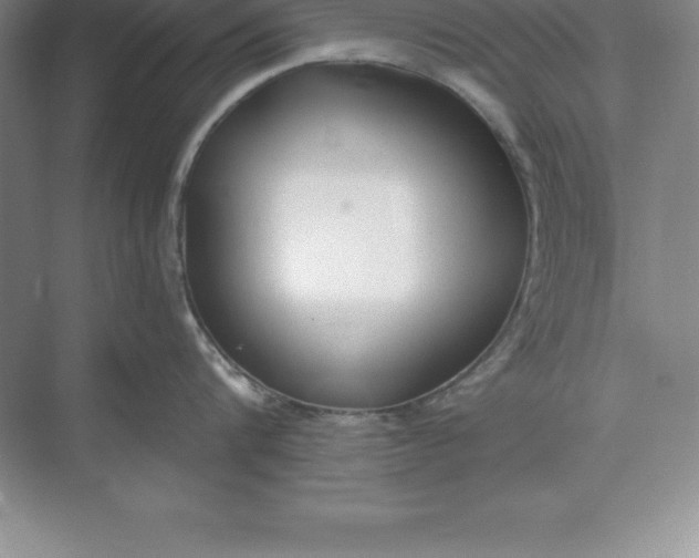 X0000071350816200607071722