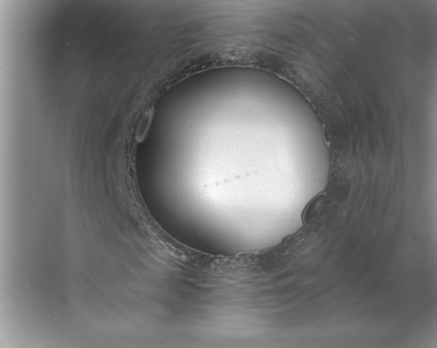 X0000071350817200607071721