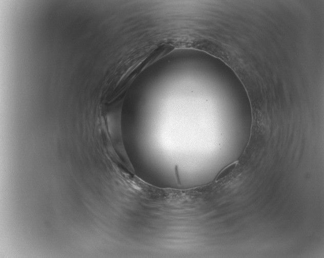 X0000071350818200607071721