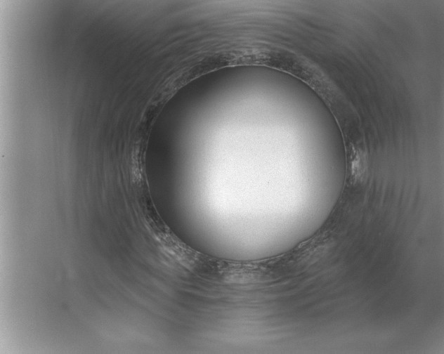 X0000071350819200607071721