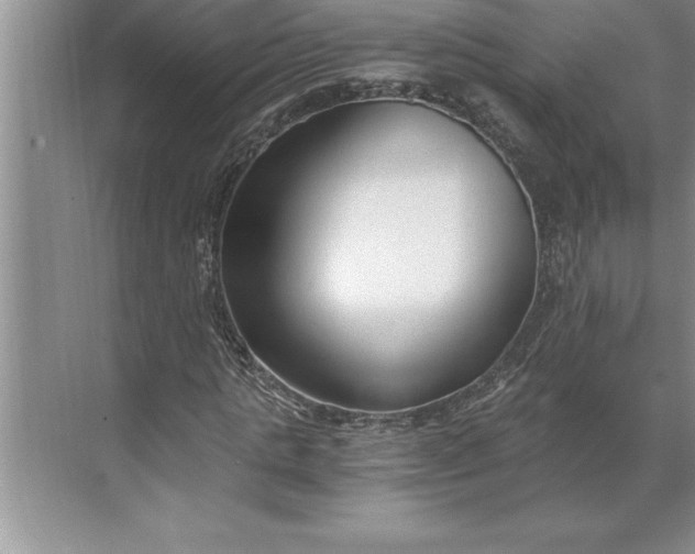 X0000071350821200607071721