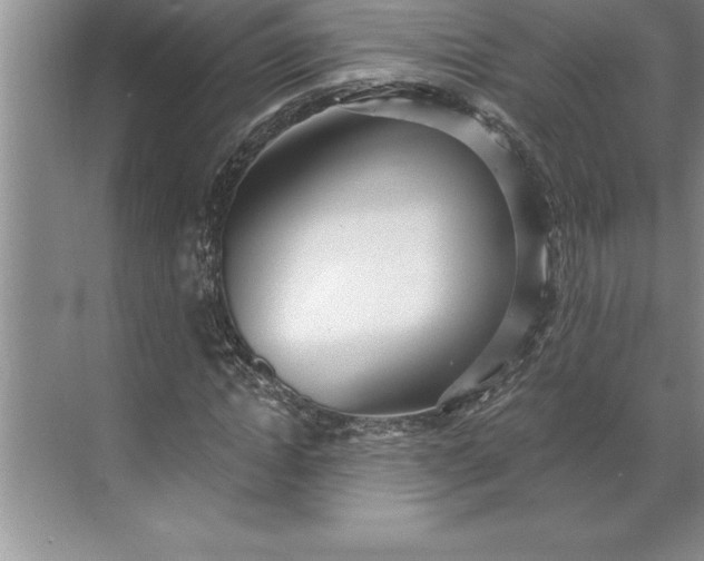 X0000071350822200607071722