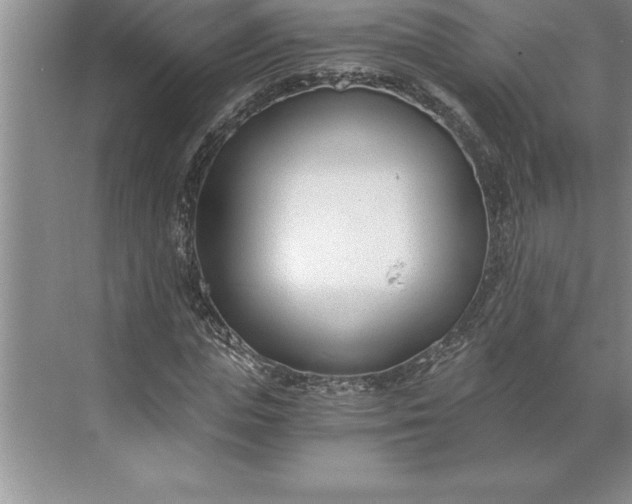 X0000071350823200607071722