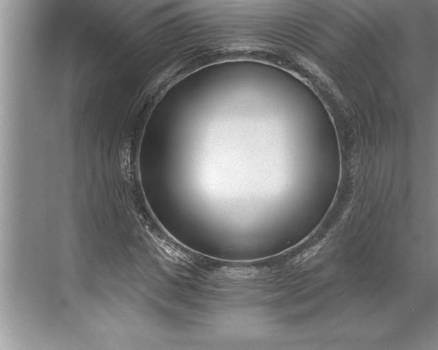 X0000071350825200607071722