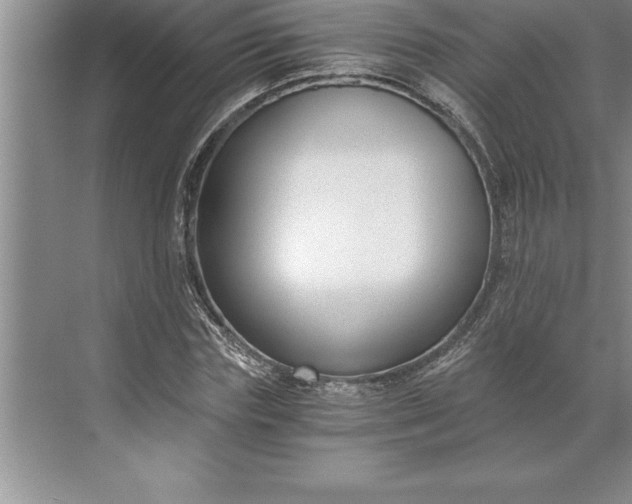 X0000071350827200607071722