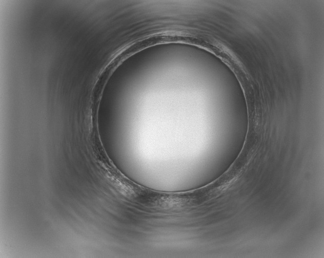 X0000071350829200607071722