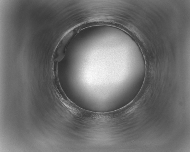 X0000071350830200607071722