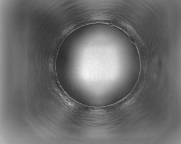 X0000071350833200607071722