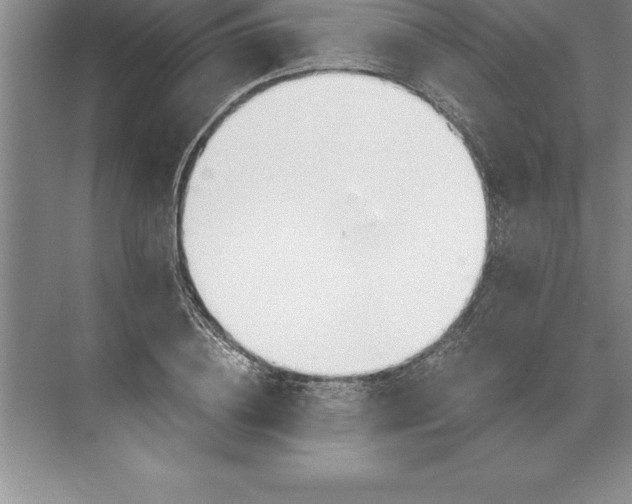 X0000071350836200607071722