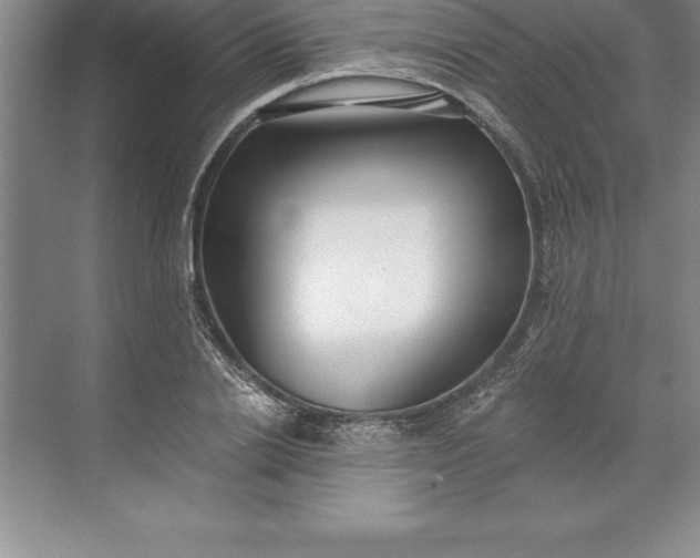 X0000071350838200607071722