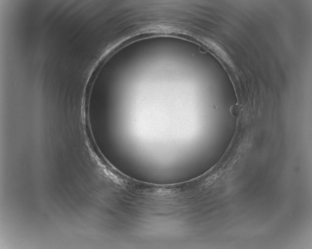 X0000071350839200607071722