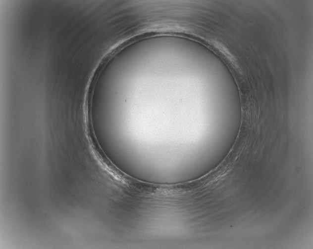 X0000071350840200607071722