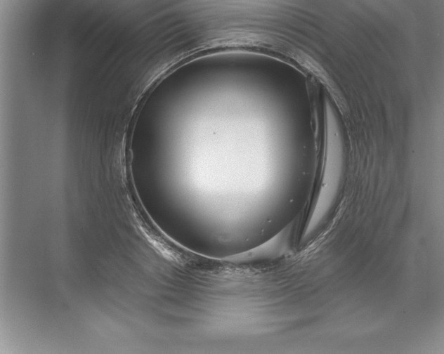 X0000071350842200607071722