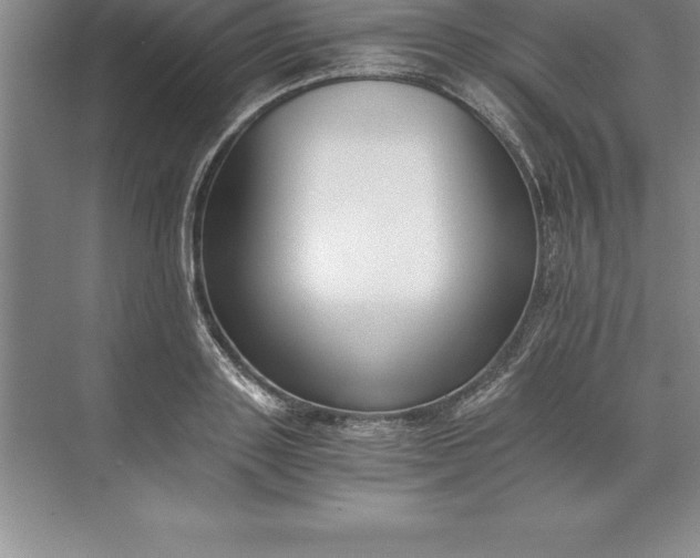 X0000071350843200607071722