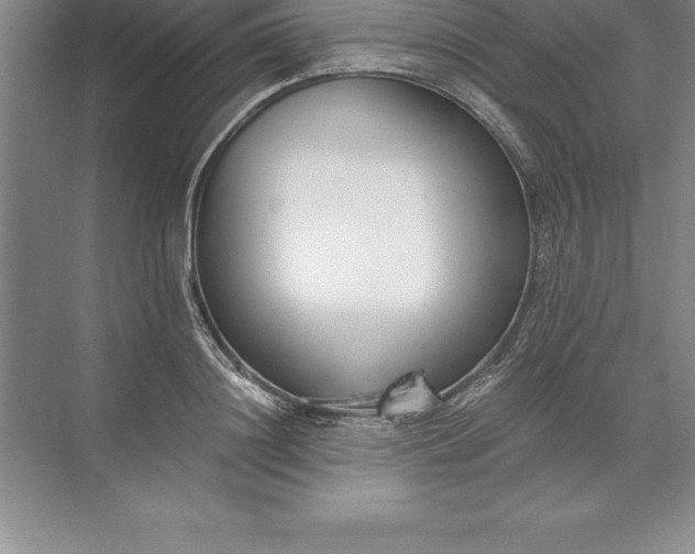 X0000071350844200607071722