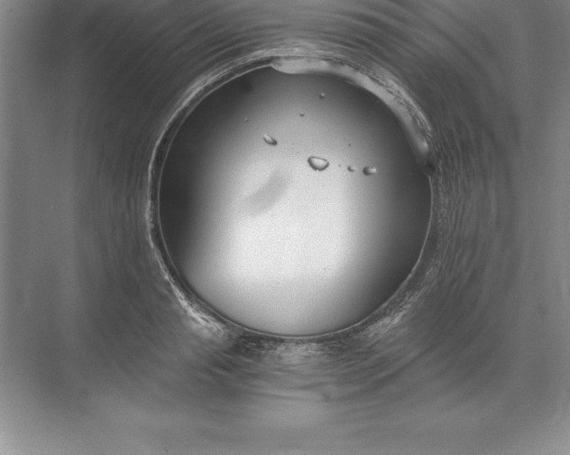 X0000071350845200607071722