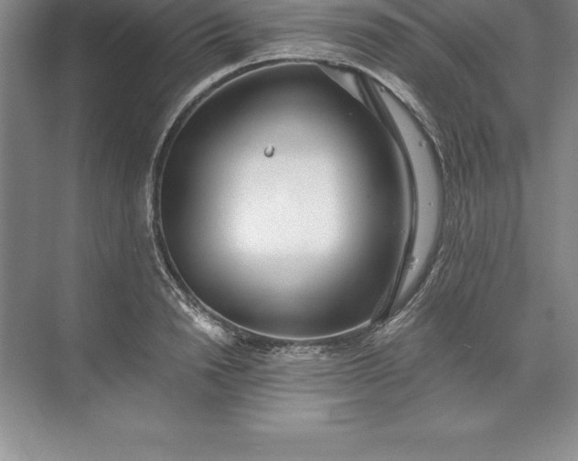 X0000071350846200607071722